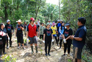 Mangrove-9