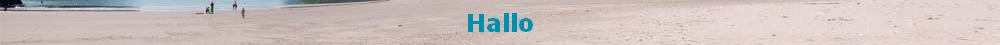Hallo